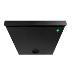 Northern Flame Arrati