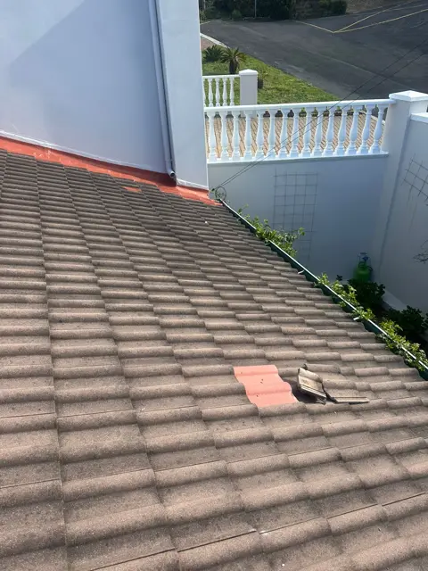 Waterproofing & painting project photo