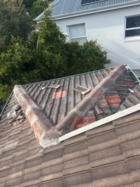 Waterproofing & painting project photo