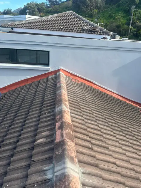 Waterproofing & painting project photo
