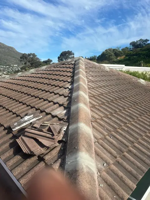 Waterproofing & painting project photo