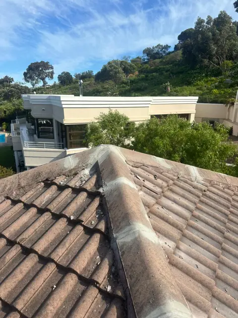 Waterproofing & painting project photo