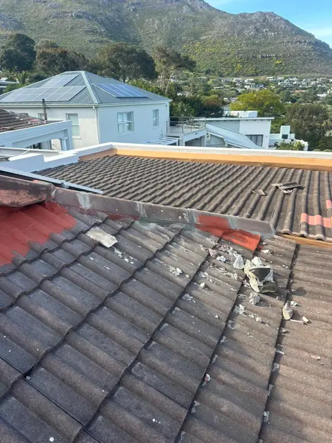 Waterproofing & painting project photo