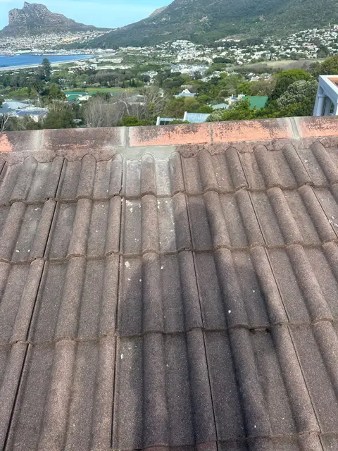 Waterproofing & painting project photo