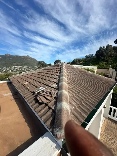 Waterproofing & painting project photo