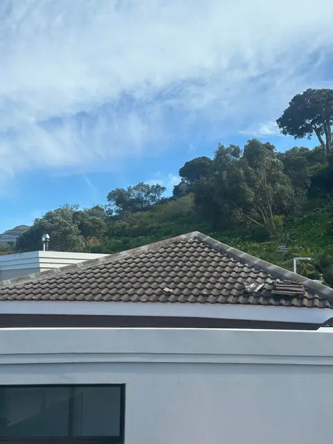Waterproofing & painting project photo