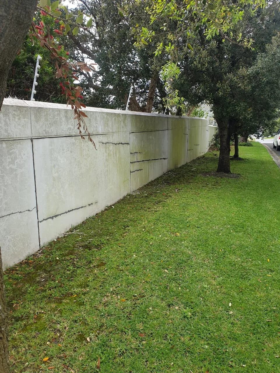 Boundary wall in Hout Bay with mould stains and filled cracks before painting