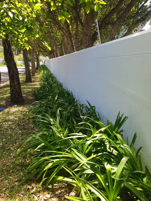 White painted boundary wall behind agapanthus and trees in Hout Bay