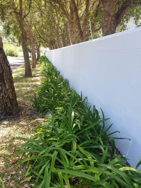 Freshly painted white wall along a garden bed in Hout Bay